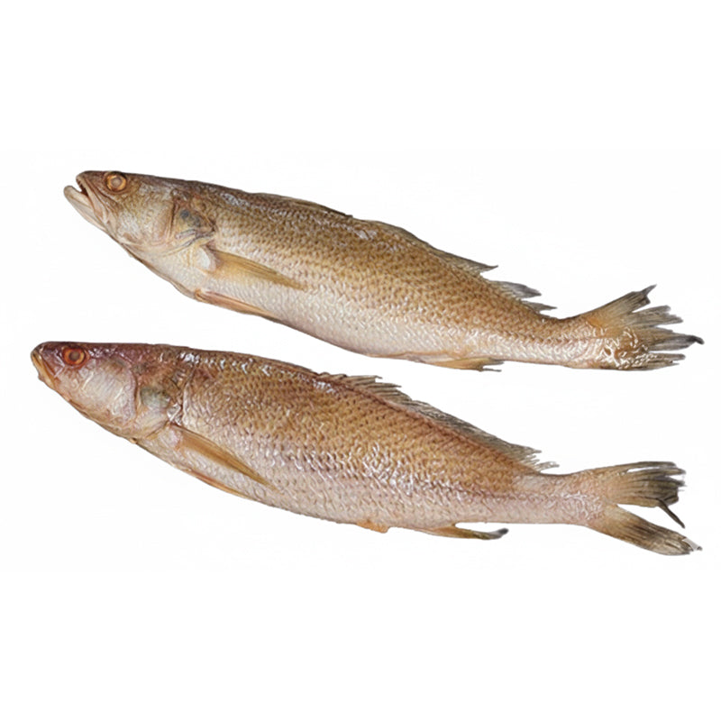 Courbine Sénégal 200/400 4kg – Poisson