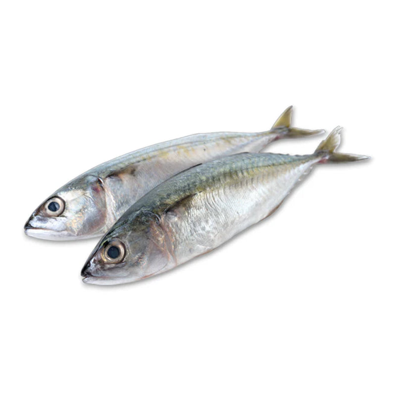 Maquereau 4Kg Vrac – Poisson