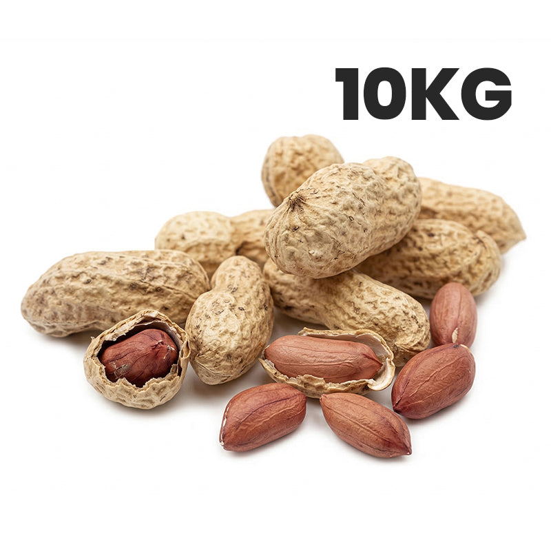 Fresh peanuts from Togo 10 kg box