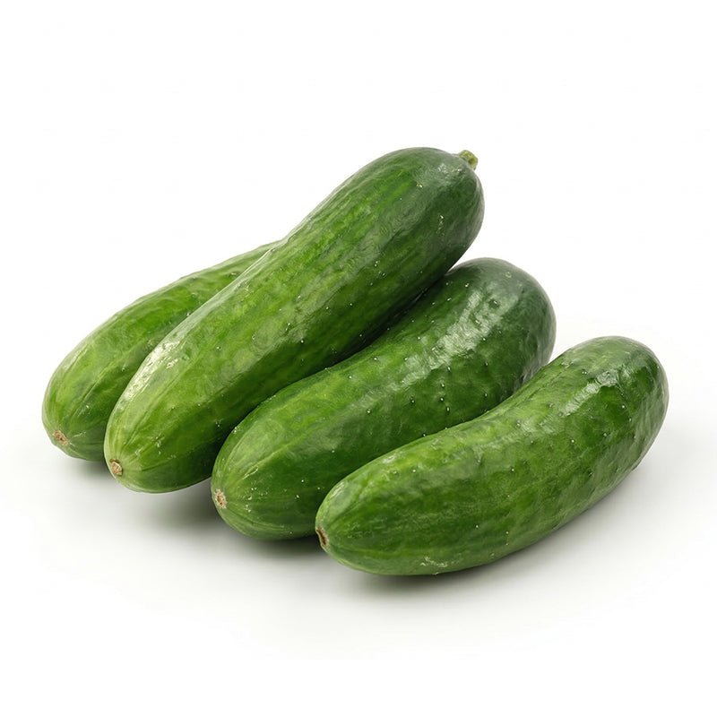 Mini concombres d’Espagne Carton de 4 kg