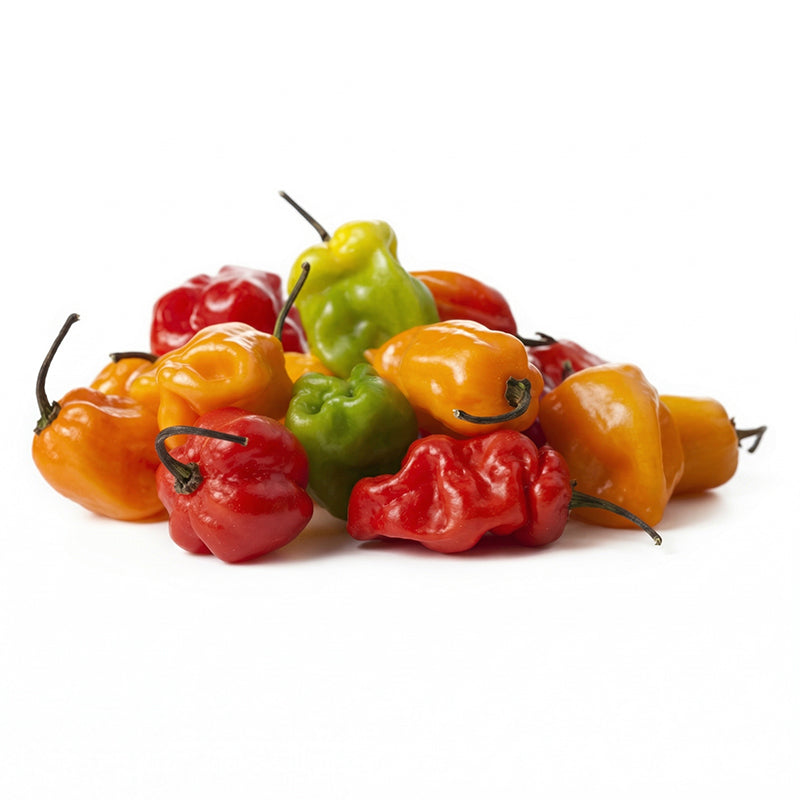 Piment Antillais Rouge Carton de 3,5 kg (Espagne)