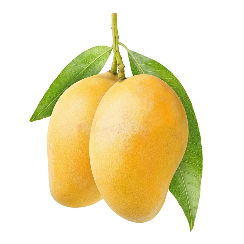 Mangues Carton Jaune de 2 kg