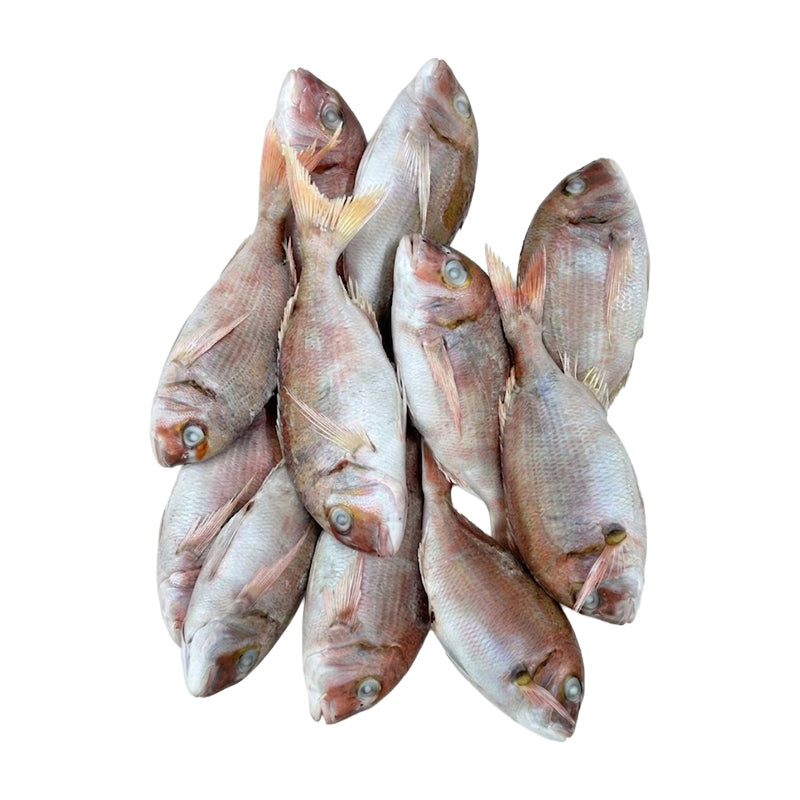 Dorade Entière Surgelée – 10 kg