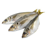 Chinchar Carton 4Kg – Poisson