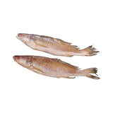 Courbine Sénégale G/V Ikagel 800/1000 – 10Kg – Poisson