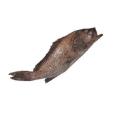 Mérou Couper Yemen 10 x 720G – Poisson