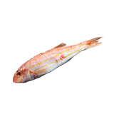 Rouget Barbet 10 x 800G – Poisson