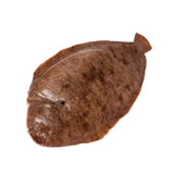 Sole Entier 400/600 – 10Kg – Poisson