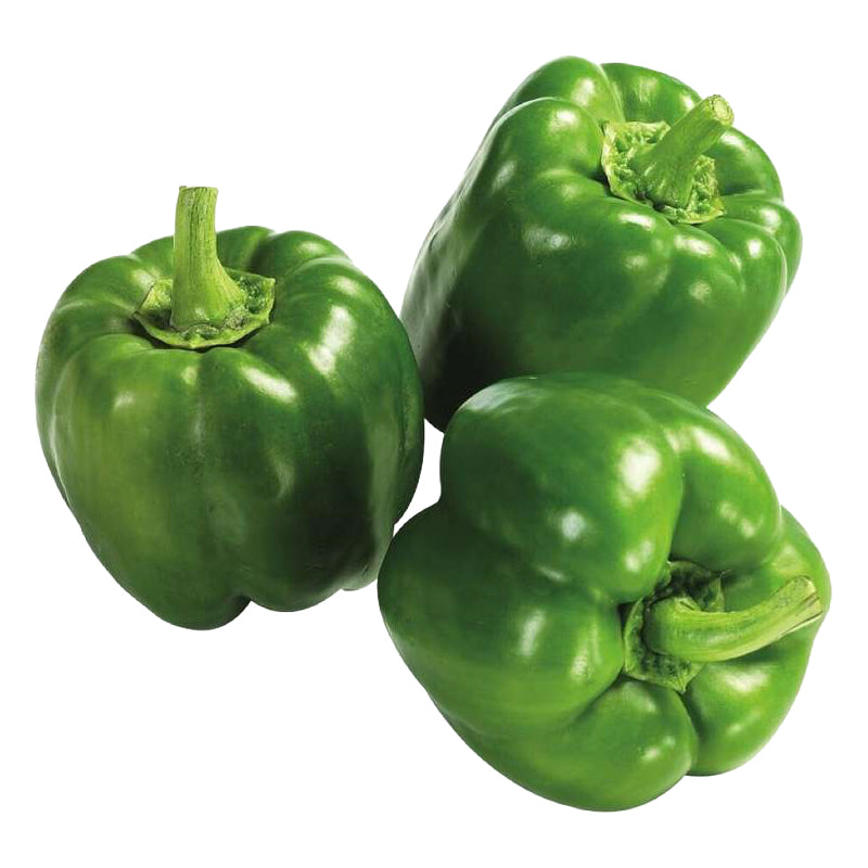 Poivrons verts des Pays-Bas Carton de 4 kg