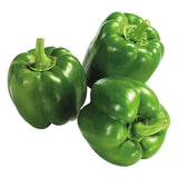 Poivrons verts des Pays-Bas Carton de 4 kg