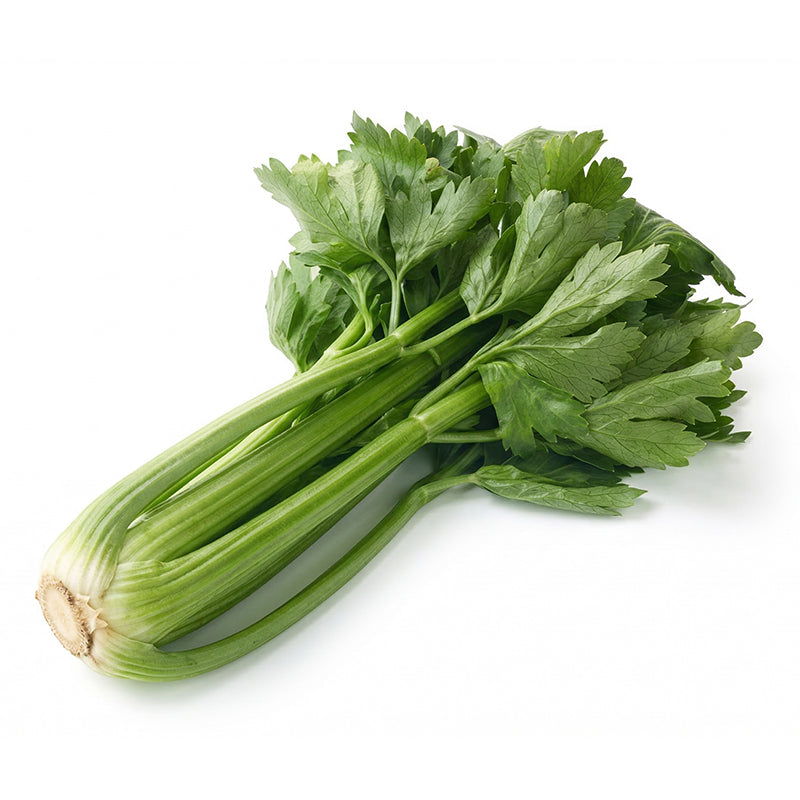 Italian Celery Stalk 5 kg box