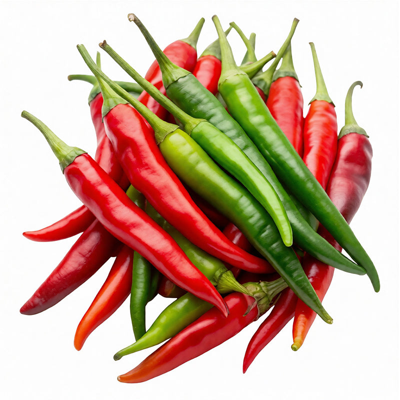 Piments du Sri Lanka Carton de 5 kg