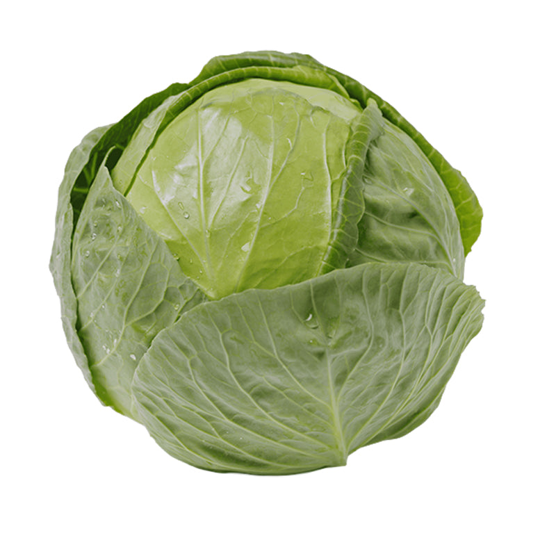 Chou Blanc Carton de 10 kg
