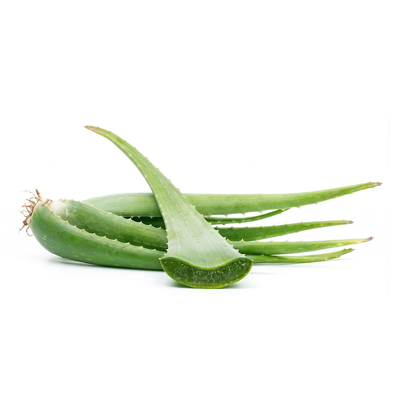 Aloe Vera Carton de 6 kg (Espagne)