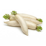 Navets Marteau Blanc Carton de 10 kg