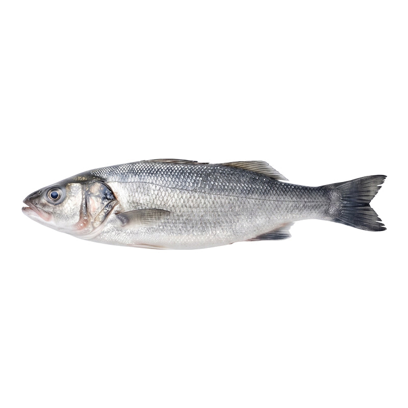 Dorade Entière Surgelée 200/300 g – 2 × 2,7 kg en Sachet