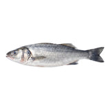 Dorade Entière Surgelée 200/300 g – 2 × 2,7 kg en Sachet