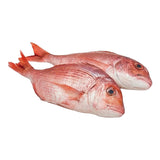 Dorade Rose G/V d'Argentine Surgelée 300/500 g – 4 kg