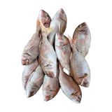 Dorade Entière Surgelée – 10 kg