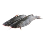 Poisson Chat Coupé d’Indonésie 500/600 g