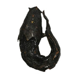 Poisson Chat Fumé – 5 kg